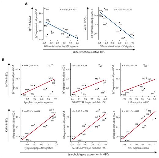 Lower expression of Kitl and Igf1 in MSCs correlates with increased expression of differentiation-inactive HSCs and decreased expression of lymphoid signatures in HSCs. (A) Correlation between Igf1 expression in Adipo-MSC-1 and differentiation-inactive HSC signature (left), and Kitl expression in Adipo-MSC-1 and differentiation-inactive HSC signature, in individual MA mice (right). Each dot represents one mouse. (B) Correlation between Igf1 expression in Adipo-MSC-1 and lymphoid progenitor signatures and genes in HSCs in individual MA mice (top). Correlation between Kitl expression in Adipo-MSC-1 and lymphoid progenitor signatures and genes in HSCs in individual MA mice (bottom). Each dot represents 1 mouse. Pearson correlation, nominal P values.