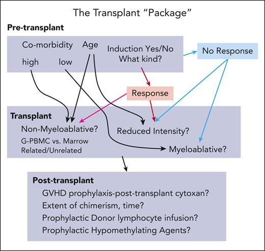 The transplant “package.” The complicated road to a successful outcome using allogeneic HCT to treat patients with MDS. G-PBMC, granulocyte colony-stimulating factor–mobilized peripheral blood mononuclear cells; GVHD, graft-versus-host disease.