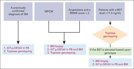 Diagnostic workflows for SM, as suggested by McMurray et al. The presenting conditions where the diagnosis of SM should be evaluated are at the top of the figure. The additional tests needed to confirm or rule out a diagnosis of SM are shown in red at the bottom of the figure. PB and BM samples should be screened for the KIT pD816V mutation with highly sensitive techniques, such as droplet digital PCR and allele-specific oligonucleotide real-time quantitative PCR. PB, peripheral blood.