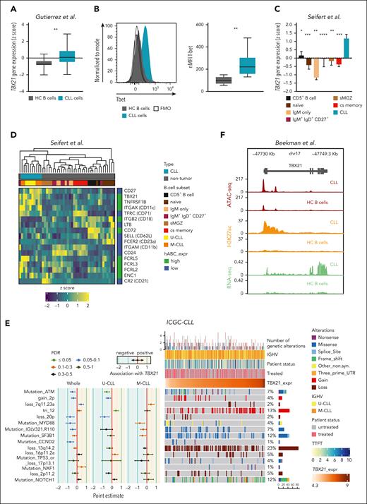 TBX21 expression is higher in CLL cells than in B cells of healthy donors. (A) Gene expression of TBX21 in CLL cells (n = 41) and B cells from age-matched healthy controls (HC B cells; n = 11). P values were obtained by the unpaired t test. (B) Flow cytometric analysis of T-bet levels in CLL cells (n = 20) and B cells from age-matched healthy controls (n = 5). P values were obtained by the unpaired t test. (C) Gene expression of TBX21 in untransformed B-cell subsets (n = 5-7) and CLL cells (n = 10). Bar limits indicate mean expression and error bars indicate standard error of the mean. P values were obtained by the 1-way analysis of variance (ANOVA), controlling the false discovery rate (FDR) using the Benjamini-Hochberg (BH) method. (D) Expression of ABC marker genes in CLL cells (n = 10) and untransformed B-cell subsets (n = 5-7). High (green) and low (blue) expressions in the ABCs are depicted on the right. (E) Analysis of the association between TBX21 gene expression and the presence of specific driver genetic alterations. Point estimates with 95% confidence intervals were calculated for the whole CLL cohort and IGHV subtypes using 2-sided t tests and controlling the FDR using the BH method. The point estimates represent the difference between the mean TBX21 expression in individuals with CLL with and without each corresponding alteration. The point estimates were color-coded based on FDR. The OncoPrint shows the association of genetic driver alterations with higher or lower expression of TBX21, along with additional clinical information such as IGHV status, time to first treatment, and patient status (treated/untreated). Samples are ordered from lower to higher TBX21 gene expression. Monoclonal B lymphocytosis cases are excluded from this analysis. Genetic driver alterations are depicted using distinct colors corresponding to the alteration type. The number of samples with mutations, as well as the percentage of mutated samples over the whole cohort, is shown on the right. The analyzed data set consisted of gene expression microarray data from 364 CLL samples.33 (F) Chromatin landscape of TBX21 showing the median ATAC-seq, H3K27ac chromatin immunoprecipitation sequencing and positive-strand RNA-seq levels from 7 patients with CLL and 15 samples from 4 different B-cell subpopulations of healthy controls (naïve, germinal center, memory B cells, and plasma cells). ∗P ≤ .05; ∗∗P < .01; ∗∗∗P < .001; ∗∗∗∗P < .0001.