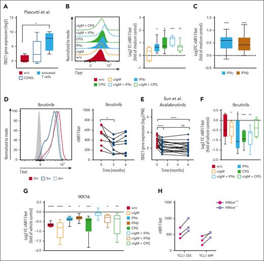 Inflammatory signals from activated T cells drive TBX21 expression in CLL cells via NF-κB. (A) Log2-transformed TBX21 gene expression in CLL cells (n = 5) cultured alone, after coculture with CD40L-expressing fibroblasts, or in vitro–activated autologous T cells. P values were obtained by RM 1-way ANOVA and controlling the FDR using the BH method. (B-C) Flow cytometric analysis of T-bet levels in CLL cells. (B) CLL peripheral blood mononuclear cells (PBMCs) (n = 7) or (C) purified CLL cells (n = 11) were stimulated with various cytokines and combinations thereof. The induction of T-bet expression was compared with that in the medium control. P values were obtained by 1-sample t tests and Wilcoxon signed-rank tests and by controlling the FDR using the BH method. (D) Flow cytometric analysis of T-bet levels in CLL cells of patients before ibrutinib treatment and after 3 and 6 months of ibrutinib treatment (n = 8). P values were obtained by RM 1-way ANOVA and controlling the FDR using the BH method. (E) TBX21 gene expression in CLL cells of patients before acalabrutinib treatment and after 1 and 6 months of acalabrutinib treatment (n = 20). P values were obtained by RM 1-way ANOVA and controlling the FDR using the BH method. (F-G) Flow cytometric analysis of T-bet levels in CLL cells after stimulation of CLL PBMCs with various cytokines and combinations thereof. (F) Cells (n = 7) were stimulated in the presence of vehicle control or ibrutinib. Quantification displays log2FC in comparison to the vehicle control. P values were obtained by RM 1-way ANOVA and controlling the FDR using the BH method. (G) Purified CLL cells (n = 8) were stimulated in the presence of the vehicle control or the NF-κB inhibitor IKK-16. Quantification displays log2FC in comparison with vehicle control. P values were obtained using the Friedman test and controlling the FDR using the BH method. (H) T-bet levels of 2 individual TCL1 CLL clones harboring hyperactive NF-κB signaling (Nfkbie–/–) compared with WT controls, as analyzed by flow cytometry (n = 3 technical replicates). ns, not significant. ∗P ≤ .05; ∗∗P < .01; ∗∗∗P < .001; ∗∗∗∗P < .0001.