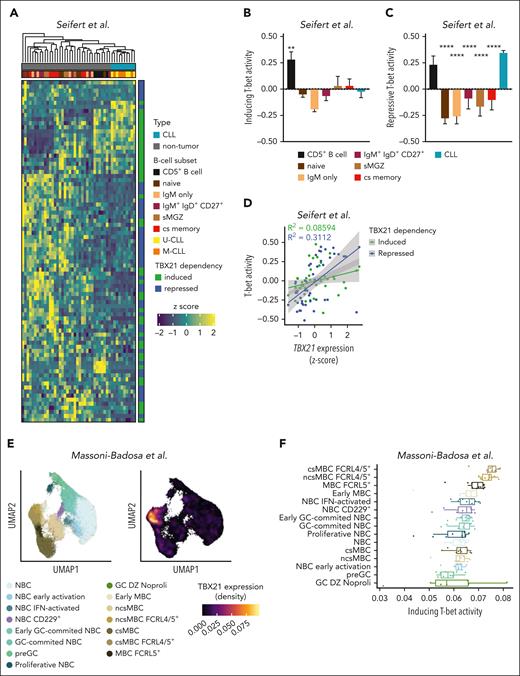 T-bet has lineage-separating properties in CLL. (A) Expression of T-bet–dependent genes in untransformed B-cell subsets (n = 5-7) and CLL cells (n = 10). (B-C) Activity scores of T-bet were calculated based on (B) induced and (C) repressed genes individually for untransformed B-cell subsets and CLL cells. P values were obtained by 1-way ANOVA and controlling the FDR using the BH method. (D) Correlation between TBX21 gene expression and T-bet activity. P values were obtained using Pearson correlation testing. (E-F) Analysis of B-cell subsets in the human tonsil atlas with a representation of T-bet expression in different clusters. (F) T-bet activity scores in human tonsillar B cells calculated based on induced genes by T-bet in the CLL cells. P values were obtained using the Mann-Whitney test. ∗∗P < .01; ∗∗∗∗P < .0001.