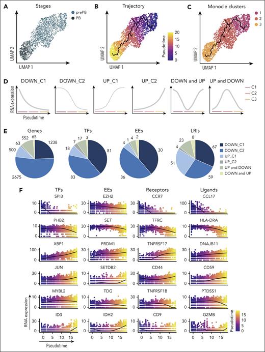 Pseudotemporal analysis of prePB and PB subpopulations. (A) UMAP representation of proliferative prePB and PB. (B) UMAP projection colored by normalized pseudotime analysis. (C) Clusters identified using the Monocle 3 package and used to define trajectories. (D) Temporal gene expression patterns from prePB to PB. (E) Proportion of genes coding TFs, epigenetic enzymes (EEs) and proteins involved in ligand/receptor interactions deregulated along the trajectory according to the expression patterns defined in panel D. (F) Plots of the expression of top differentially expressed genes coding for TFs, EEs, ligands and receptors in function of pseudotime.