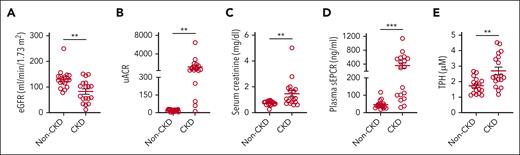 Association between plasma sEPCR and CKD in patients with SCD. A cohort of patient samples (N = 35) from the Walk-PHaSST biorepository was subdivided into 2 groups: non-CKD and CKD. eGFR (A), uACR (B), and serum creatinine (C) in the indicated groups of patients with SCD. Level of plasma sEPCR (D) and TPH (E) showing elevated circulating EPCR and heme in the CKD group of patients with SCD. ∗∗P < .01; ∗∗∗P < .001 (unpaired Student t test).