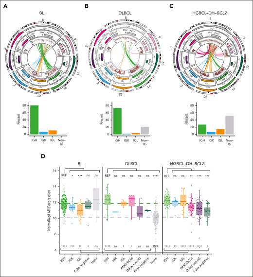 MYC-Rs frequently involve non-IG loci in HGBCL-DH-BCL2. (A-C) Diagrams showing the architecture of MYC-R (top row) and relative frequency (bottom row) of different rearrangement partners across BL (A), DLBCL (B), and HGBCL-DH-BCL2 (C). In each circular plot, the outermost ring gives the chromosome ideogram, followed by a genomic coordinate scale, a gene coordinate track, and a rainfall plot of intermutation distance with points colored according to whether the mutation overlaps the canonical AID WRCY motif (red) or not (black). Mutations are only shown in regions covered by the targeted capture panel and include tumors without rearrangements. Innermost lines show the linkages between MYC and the most common rearrangement partners. (D) MYC expression measured from RNAseq data across different lymphoma entities, stratified by rearrangement partner group. FDR-corrected Wilcoxon tests compare expression to DLBCL with no MYC-R (“none”; below the boxplots) or to tumors with MYC::IGH rearrangements within each entity (above the boxplots). “False negative” indicates tumors that were positive for MYC-R by FISH but the rearrangement was not identified by sequencing. ns, not significant; REF, reference group; ∗P < .05; ∗∗P < .01; ∗∗∗P < .001; ∗∗∗∗P < .0001.