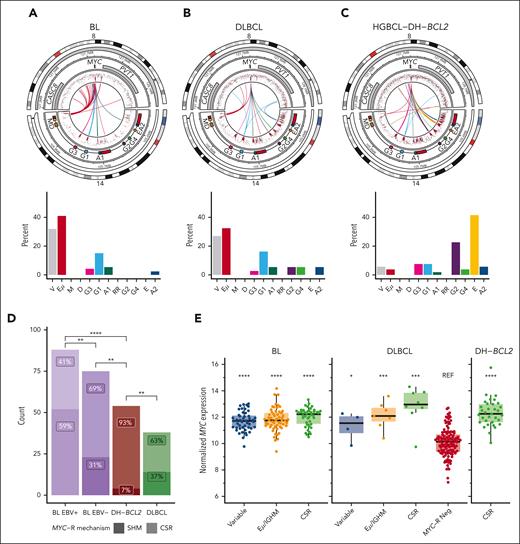 MYC::IGH rearrangements arise by distinct mechanisms across lymphoma entities. (A-C) Diagrams showing the architecture of MYC::IGH rearrangements at high resolution (top row) and the frequency of each rearrangement partner (bottom row) across BL (A), DLBCL (B), and HGBCL-DH-BCL2 (C). In each circular plot, the outermost ring gives the chromosome ideogram, followed by a genomic coordinate scale, a gene coordinate track including Eμ and 3' regulatory region enhancers in red, and a rainfall plot of intermutation distance with points colored according to whether the mutation overlaps the canonical AID WRCY motif (red) or not (black), including mutations from tumors without rearrangements. Innermost lines show the linkages between MYC and IGH. (D) The frequency of MYC::IGH rearrangements attributable to either CSR or SHM. The frequency of each type of event was compared by FDR-corrected pairwise Fisher exact tests. (E) Expression of MYC determined from RNAseq data, stratified by the region of IGH to which MYC is rearranged. FDR-corrected Wilcoxon tests were used to compare expression levels of each group with DLBCL without MYC-R (“MYC-R Neg”). No RNAseq data were available for any of the HGBCL-DH-BCL2 tumors with MYC-R involving variable or Eμ/IGHM regions. ∗P < .05; ∗∗P < .01; ∗∗∗P < .001; ∗∗∗∗P < .0001. REF, reference group.