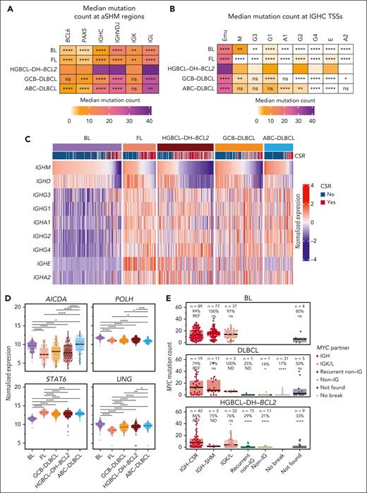HGBCL-DH-BCL2 experience elevated SHM across MYC partner loci. (A) Median mutation counts across recurrent MYC partner loci covered by the targeted capture sequencing assay. (B) Mutation counts per tumor within the IGH Eμ enhancer and TSS of each constant gene. IGHM was separated from Eμ using the boundary defined in supplemental Figure 6A. In panels A-B, HGBCL-DH-BCL2 was used as the reference group for FDR-corrected Wilcoxon tests to identify significant differences in mutation counts for each locus. (C) A row-normalized heat map showing expression levels of each IGH constant gene determined by RNAseq. Samples are ordered according to IGHM expression. The CSR track indicates whether each tumor was predicted to express a functional IGHM/D (no) or a different IGHC gene (yes). (D) Expression levels of genes that may be involved in the regulation of aSHM and/or CSR compared with pairwise FDR-corrected Wilcoxon tests. (E) Mutation counts at the MYC TSS stratified by lymphoma entity and MYC rearrangement partner or predicted IGH rearrangement mechanism. The number and percentage of tumors with ≥1 mutation in the MYC TSS are indicated above each grouping. Within each entity, FDR-corrected Wilcoxon tests were used to compare the mutation counts for each MYC-R partner/mechanism group (with at least 4 tumors) with that of IGH-CSR. ns, not significant; ∗P < .05; ∗∗P < .01; ∗∗∗P < .001; ∗∗∗∗P < .0001. IGHC, constant region of IGH locus; IGHVDJ, variable (V), diversity (D), and joining (J) region of the IGH locus; ND, not done; REF, reference group.