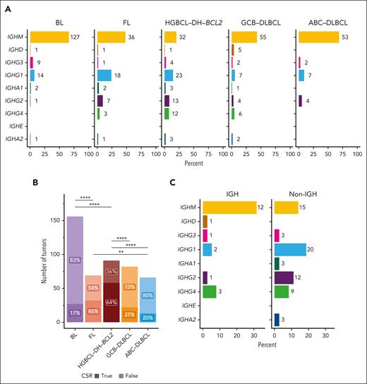HGBCL-DH-BCL2 tumors are frequently class switched. (A) Constant gene usage predicted from RNAseq data with MiXCR across lymphoma entities. The x-axis indicates the percent of tumors within each entity, whereas numbers at each bar indicate the absolute number of tumors predicted to use each constant gene. (B) The proportion of each lymphoma entity with predicted CSR (IGH constant gene other than IGHM or IGHD). The frequency of CSR between entities was compared with FDR-corrected pairwise Fisher exact tests. ∗∗P < .01; ∗∗∗∗P < .0001. (C) Constant gene usage in HGBCL-DH-BCL2 stratified by MYC-R partner.