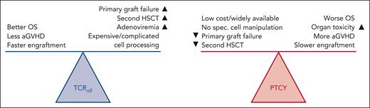 Advantages and disadvantages of TCRαβ and PTCY GVHD prophylaxis strategies in patients with IEI. Figure courtesy of Tim Luetkens, University of Maryland.
