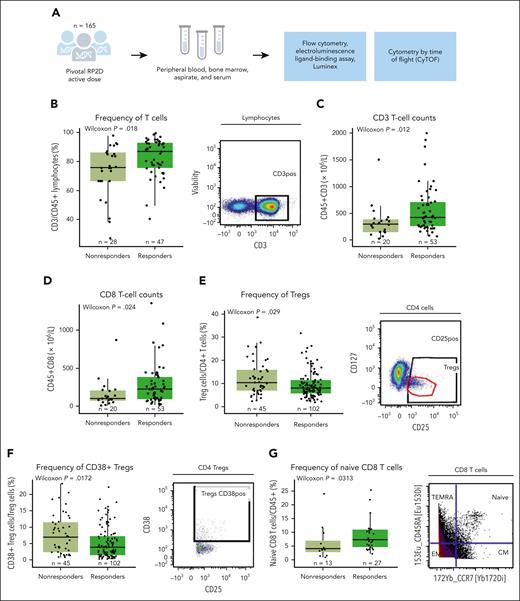 Correlative immune factors of response to teclistamab monotherapy in the MajesTEC-1 study in the periphery at baseline. (A) Diagram of patients, samples, and analysis from the MajesTEC-1 study. (B) Frequency of T cells by response assessed by flow cytometry in the periphery at the RP2D dose, with representative staining shown on the right of the panel. (C) Absolute CD3 T-cell counts by flow cytometry relative to response. (D) Absolute CD8 T-cell counts assessed by flow cytometry (TBNK kit). (E) Percentage of Tregs from CD4 T cells at baseline relative to response at the RP2D dose, with representative staining shown on the right of the panel. (F) Frequency of CD38-expressing Tregs at baseline assessed by flow cytometry and relative to response, with representative staining shown on the right of the panel. (G) Frequency of naive CD8 T cells from the parent population of CD45+ T cells assessed in a subset of patients from the active dose cohorts assessed by CyTOF, with representative staining shown on the right of the panel. Statistical significance was evaluated using the Wilcoxon rank-sum test. CM, central memory; EM, effector memory; TBNK, T cells, B cells, and natural killer cells; TEMRA, terminally differentiated effector memory cells re-expressing CD45RA.