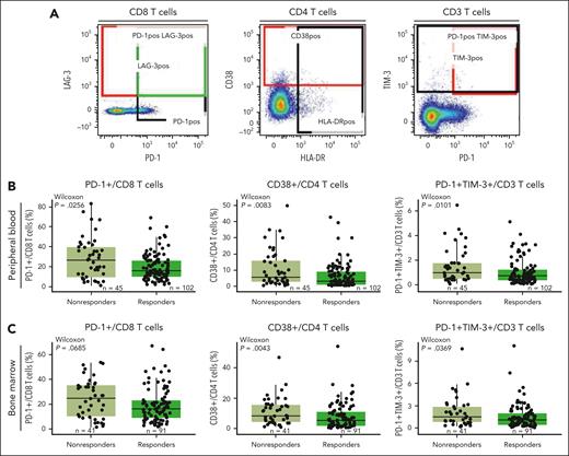 Functional marker expression associated with exhaustion is higher in nonresponders in both the periphery and the BM microenvironments. (A) Staining of representative populations of interest (peripheral CD8, CD4, and CD3 T cells). (B) Frequency of PD-1+/CD8 T cells, CD38+/CD4 T cells, and PD-1+TIM-3+/CD3 T cells in the periphery at baseline in patients treated with the RP2D assessed by flow cytometry. (C) Frequency of PD-1+/CD8 T cells, CD38+/CD4 T cells, and PD-1+TIM-3+/CD3 T cells in the BM at baseline in patients treated with the RP2D assessed by flow cytometry. Groups were compared using the Wilcoxon rank-sum test.