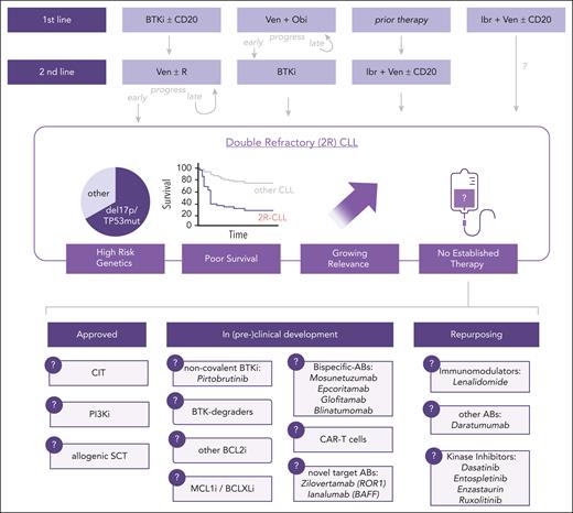 Overview of 2R-CLL. The different treatment sequences leading to 2R-CLL are shown. In this situation, there are some approved therapeutic options, as well as experimental protocols or the repurposing of drugs approved for other purposes that are outlined in this review. Abs, antibodies; SCT, stem cell transplantation; CDK9i, CDK9 inhibitors.