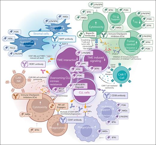 Therapeutic options targeting the different compartments of the TME. Graphical depiction of the different TME compartments, including possibilities of targeting these.