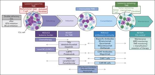 Schematic overview of possible novel TME–directed trial designs. The 4R objectives of TME trials are ordered according to the classical phases of CLL therapy design, and novel drugs are allocated to these principles below. Future trials can be designed by rationally choosing the respective drug combinations.