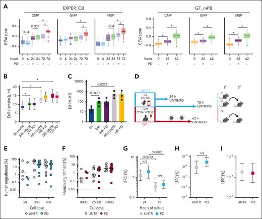 Preventing progression past early G1 during ex vivo culture of LT-HSCs dampens the establishment of differentiation programs but does not affect the loss of long-term repopulation capacity. (A) GSVA scores for the indicated lineage gene expression signatures from Laurenti et al40 at the indicated time points for the LT-HSC culture. The GSVA score is generated per cell, and the line indicates the median. EXPER_CB, n = 536 single cells; GT_mPB, n = 418 single cells. (B) The cell diameters of single EXPER_CB cultured LT-HSCs (n = 2 biological replicates representing n = 469 total single cells). Unpaired t tests are shown. ∗P < .001. (C) Tetramethylrhodamine (TMRM) staining of bulk EXPER_CB cultured LT-HSCs (n = 5 biological replicates for 0 hours; n = 4 matched biological replicates for UNTR or PD-treated cells for 24 hours; n = 3 matched biological replicates for UNTR or PD-treated cells for 48 hours). Unpaired t tests are shown. (D) Workflow of in vivo transplantation of EXPER_CB cultured LT-HSCs (24 hours and 72 hours) and CD34+/CD38− cells cultured in the GT_mPB system (62 hours). UNTR or PD-treated cells were transplanted in matched cell dose experiments. (E) Graft size (percentage of human CD45++ and GlyA+) at 18 weeks after transplantation of UNTR or PD-treated EXPER_CB LT-HSCs cultured for 72 hours (n = 5 biological experiments; the graph is representative of engrafted mice only; n = 42 PD mice; n = 38 UNTR mice). Two-way analysis of variance (ANOVA) with Sidak multiple comparisons performed (50 cells UNTR vs 50 cells PD; P = .9552; 300 cells UNTR vs 300 cells PD; P = .4084; 700 cells UNTR vs 700 cells PD; P = .971). (F) Graft size (percentage of human CD45++ and GlyA+) at 18 weeks post transplantation of mPB CD34+CD38− cells after GT protocol culture for 62 hours including LV transduction (n = 3 biological replicates; the graph is representative of engrafted mice only; n = 25 mice UNTR; n = 26 mice PD-treated). Two-way ANOVA with Sidak multiple comparisons performed (all cell doses UNTR vs PD; P > .9). (G) The percentage of LTRC in EXPER_CB cultured LT-HSCs UNTR or PD-treated, determined at 24 hours (n = 31 mice UNTR; n = 30 mice PD) and 72 hours (n = 42 mice PD; n = 40 mice UNTR). Numerical estimates for LTRC frequency available in supplemental Table 2. ELDA statistics (24 hours UNTR vs 24 hours PD; P = .405; 72 hours UNTR vs PD; P = .426). (H) LDA of secondary transplantation experiment from EXPER_CB cultured LT-HSCs UNTR or PD-treated from the 72 hour primary mice cohort. Secondary animals were transplanted with sorted CB CD45++ from primary recipients (n = 20 mice total; 10 UNTR, 10 PD; n = 1 experiment) (supplemental Table 10). An ELDA statistical test was performed (P = .190). (I) LDA of secondary transplantation experiment from GT_mPB UNTR or PD-treated from the 62 hour primary mice cohort. Secondary animals were transplanted with whole mouse bone marrow (BM) isolated from primary recipients (n = 21 mice total; UNTR = 11 mice; PD = 10 mice; n = 1 experiment) (supplemental Table 10). An ELDA statistical test was performed (P = .860). (D) was created with BioRender.com (license agreement, KE26QKHW50).