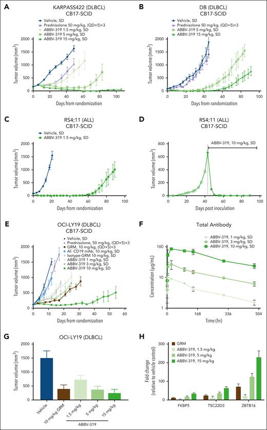 ABBV-319 elicits potent and durable antitumor activity in CDX models. (A-E) Growth of xenografted KARPAS422 (A), DB (B), RS4;11 (C-D), and OCI-LY19 (E) tumors after the indicated treatment regimen. Drug treatments were initiated within 24 hours after tumor size matching and randomization (A-C,E), whereas the large RS4;11 tumor (D) was dosed at day 43 after inoculation. Means ± SEM of tumor volumes were plotted for each treatment group vs days from randomization or days after inoculation. (F) Total antibody detected in mouse whole blood from the OCI-LY19 study (E). Means ± SEM are shown. (G) Volume of xenografted OCI-LY19 tumors after indicated treatment for 7 days. GRM was dosed at (QD × 5) × 3, whereas ABBV-319 was dosed as a SD. Means ± SEM of tumor volumes were plotted for each treatment group. (H) Quantitative reverse transcription polymerase chain reaction analysis of FKBP5, TSC22D3, and ZBTB16 expression in tumors after the indicated treatments. Means ± SEM of fold change relative to the vehicle control are displayed. QD, once daily; SD, single dose.