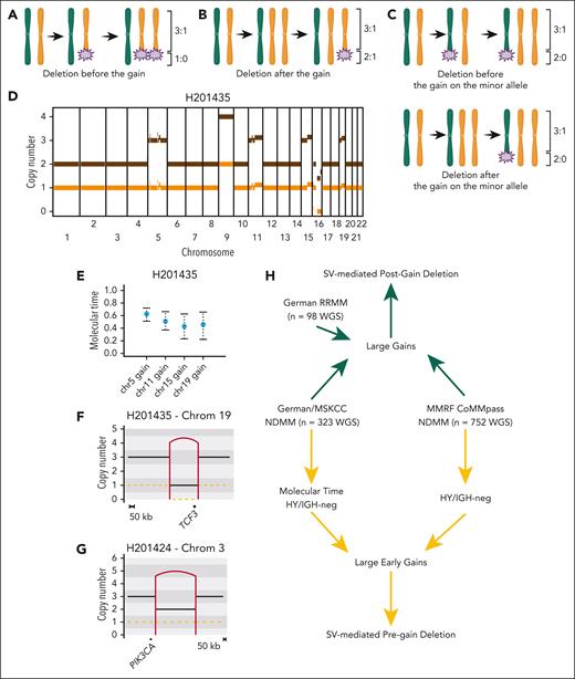Workflow for detecting pregain and postgain deletions in patients with MM. Cartoons summarizing a (A) pregain deletion event, (B) postgain deletion event, and (C) pregain deletion and postgain deletion events involving a loss-of-heterozygosity. Numbers (ie, 3:1) indicate the number of total alleles to the number of minor alleles. (D) Example of a copy-number plot of a HY/IgH-neg patient with newly diagnosed MM. (E) Molecular time output for the patient’s large chromosomal gains. (F) Copy number plot zoomed in on pregain deletion involving the TSG TCF3. (G) Example of postgain deletion near the oncogene PIK3CA. In panels F-G, the horizontal black and orange lines represent the total copy number and the minor allele, respectively. The vertical line represents SV deletions. (H) Workflow for identifying early pregain (yellow) and postgain (green) deletion events mediated by SV in study cohorts.