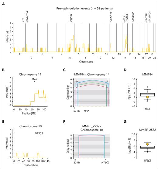 Prevalence and distribution of pregain deletions in HY patients with newly diagnosed myeloma. (A) Cumulative distribution plot of pregain deletions in 55 HY/IgH-neg patients with NDMM. Top of plot shows TSGs that were enriched more than the median number of patients per 1 Mb bin with a pregain deletion on the given chromosome. (B) Enlarged distribution of pregain deletions on chromosome 14 involving the TSG MAX. (C) Copy number plot showing pregain deletion, including MAX, in patient MM184. (D) RNAseq transcript levels of patients with NDMM from the German cohort with patient MM184 highlighted in yellow who showed a clear MAX downregulation. (E) Enlarged distribution of pregain deletions per 1 Mb bin on chromosome 10 around the oncogene NT5C2. (F) Copy number plot showing a pregain deletion near NT5C2 in patient MMRF_2532. (G) RNAseq transcript levels of patients with NDMM from MMRF with patient MMRF_2532 highlighted in yellow, showing a clear overexpression of NT5C2. In panels C, F, the black and orange horizontal lines represent the total and minor copy number, respectively. The black, red, green, and blue vertical lines represent translocations, deletions, duplications, and inversions. For translocations, the partner chromosome is reported on the top of the line.