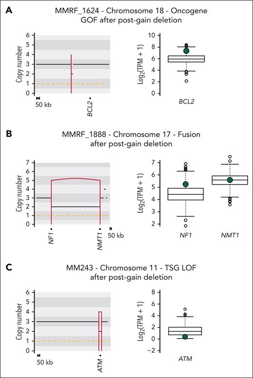 Functional impact of postgain deletions. Left column: copy-number plot. Right column: bulk RNAseq transcript for each involved gene. The green dot denotes transcript levels for the patients represented in copy-number plots. (A) Postgain deletion near the oncogene BCL2 led to a GOF. (B) Postgain deletion led to a gene fusion. (C) Postgain deletion involving TSG ATM led to gene expression downregulation (ie, LOF) despite having 2 remaining alleles. GOF, gain-of-function.