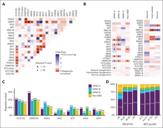 Genomic landscape and gene interactions in NPM1 mutation AML. (A) Gene interaction analysis, including all genes with mutations in >3% of the patients and also TP53. (B) Comutated genes by NPM1 mutation type and karyotype. (C) Genomic features of the NPM1 mutation types. (D) Relationship between age, WCC, and NPM1 mutation types.