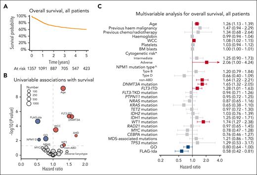 Factors associated with OS in all patients. (A) Kaplan-Meier curve of OS in all patients with NPM1 mutant in AML17 and AML19. (B) Volcano plot of the univariable associations with OS. The HR for age is per 10 years, and WCC and platelets are log-transformed. (C) Multivariable Cox regression analysis of factors associated with OS. The HR for age is per 10 years, and WCC and platelets are log-transformed. ∗Cytogenetic risk is with normal karyotype as the reference group. ^NPM1 mutation type is with type A as the reference group.