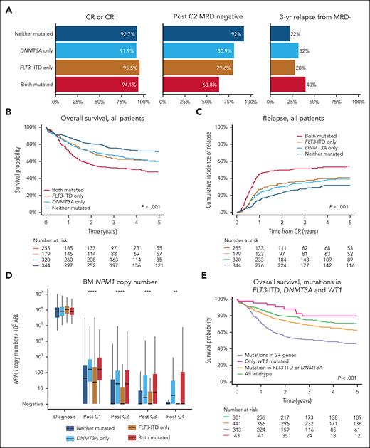 Effect of combination of FLT3-ITD and DNMT3A. (A) Rates of remission, PC2 MRD negativity, and relapse from MRD– state, by FLT3-ITD and DNMT3A mutation status. (B) Kaplan-Meier curve of OS in all patients with NPM1 mutant, by FLT3-ITD and DNMT3A mutation status. (C) CIR in all patients with NPM1mut, by FLT3-ITD and DNMT3A mutation status. (D) BM NPM1 MRD copy number (per 105 copies ABL1) after each course of chemotherapy, by FLT3-ITD and DNMT3A mutation status. (E) Kaplan-Meier curve of OS in all patients with NPM1 mutant, by combined FLT3-ITD, DNMT3A, and WT1 mutation status.