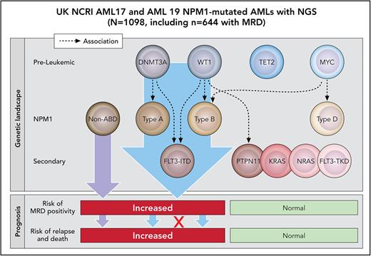 Genetic landscape of comutations in NPM1-mutated acute myeloid leukemia and their prognostic impact on MRD (NPM1 transcripts, peripheral blood assessment after cycle 2), incidence of relapse, and overall survival. When considered in isolation, the poorer prognostic value of FLT3-ITD is fully captured by MRD (ie, FLT3-ITD–positive patients with negative MRD do not have an excess in relapse or death risk). However, when considering all comutations, patients with ≥2 genes mutated among FLT3-ITD, DNMT3A, and WT1, or patients with non-ABD NPM1 variants have a higher risk of relapse or death, even when they achieve MRD negativity. Professional illustration by Patrick Lane, ScEYEnce Studios.