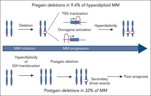 Pre- and postgain deletions in MM. Deletions preceding chromosomal gains were detected in 9.4% of hyperdiploid MMs (top), a quarter of which affected TSGs or oncogenes and likely represented the initiating events. Deletions acquired after large chromosomal gains are even more common, found in one-third of patients with MM (either hyperdiploid or bearing IGH translocations). These secondary driver events promote disease progression and are associated with dismal prognosis.