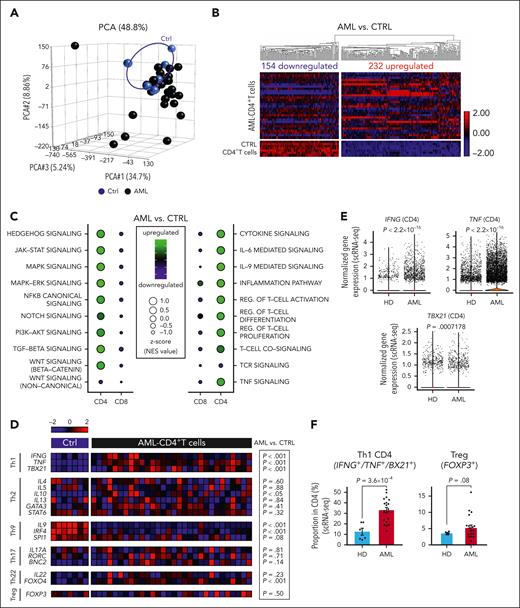 The transcriptomic analysis of BM–infiltrating CD4+ T cells in AML indicates T-cell activation and Th1 polarization. (A) PCA based on the transcriptomic profile of BM–infiltrating CD4+ T cells from patients with AML (n = 30) and controls (n = 7). (B) Heat map illustrating differentially expressed genes in CD4+ T cells (AML vs Ctrl). (C) Balloon plots illustrating significantly upregulated/downregulated pathways (left panel) or crucial immune-related signaling (right panel) within CD4+ and CD8+ T cells based on GSEA and normalized enrichment scores (NES). (D) Heat map illustrating the expression profile of key genes and transcription factors regulating CD4+ T-cell polarization (Th1, Th2, Th9, Th17, Th22, and Tregs). (E) Gene expression analysis of IFNG, TNF, and TBX21 in BM–infiltrating CD4+ T cell from patients with AML (n = 20) and HDs (n = 9) assessed by scRNA-seq. (F) Frequency of Th1 CD4+ T cells (IFNG, TNF, or TBX21 expressing CD4+ T cells) and Tregs (FOXP3 expressing CD4+ T cells) from patients with AML (n = 20) and HDs (n = 6) analyzed by scRNA-seq. (E-F) Two-sided Wilcoxon test. CTRL, control; PCA, principal component analysis; pos., positive.