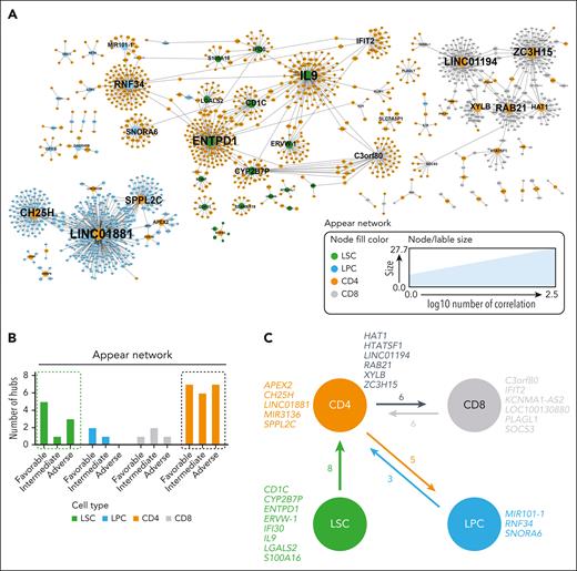 Detection of hub genes in different cell populations. (A) Visualization of nodes (genes) in the AML appear network that have >2 connections. Node fill color indicates the cell population; node and label size indicate the node degree (number of correlations). Hub genes are annotated with their gene name. (B) Number of hub genes in LSCs, LPCs, CD8+, and CD4+ T cells for the appear network across AML risk groups. (C) Summary of significantly correlated hub genes in the different studied cell populations (LSCs, LPCs, CD8+, and CD4+ T cells).
