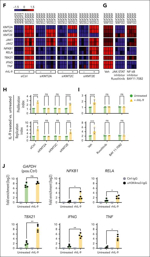 IL-9 secreted by AML LSCs activated CD4+ T cells and induced a Th1-phenotype through JAK-STAT signaling and histone H3 methylation. (A) Circus plot illustrating the top 10-upregulated genes involved in several of the dysregulated pathways based on the GO analysis (Figure 5E; CD4+ T cells + rhIL-9 vs untreated CD4+ T cells). (B) GSEA of H3-K4me and H3-K27me gene signatures in CD4+ T cells treated with hIL9 vs untreated and in CD4+ T cells coincubated with LSCs vs CD4+ T cells cocultured with LSCs in the presence of αIL-9. (C) Quantification of 21-histone H3 modifications (15-different lysine methylation, 4-different lysine acetylation, and 2-different serine phosphorylation) in extracted histones from FACS purified in the same experimental groups (n = 3 biological replicates per condition). The dotted square lines represent significant changes. (D) In silico prediction of IL9 and KMT2A or KMT2C gene interactions (GeneMANIA database). (E) Expression levels of crucial genes for lysine methyltransferases, JAK-STAT, phospho ERK, and canonical NF-κB signaling, as well as IFNG and TNF genes assessed by qPCR (n = 3 AML and 3 HD per condition). Fold differences in gene expression, as depicted in bar charts, were calculated in comparison to unstimulated, untreated CD4+ T cells. Corresponding heat maps, illustrating the relative expression levels of the analyzed genes in individual samples. (F) Heat map demonstrating fold differences in gene expression for lysine methyltransferases, JAK-STAT, important genes of canonical NF-κB signaling, as well as TBX21, IFNG, and TNF in CD4+ T cells from patients with AML after gene silencing using siKMT2A, siKMT2C, or siKMT2E in the presence or absence of rhIL-9. The fold changes in gene expression were calculated according to siCtrl treated CD4+ T cells without addition of rhIL-9 as the control condition (n = 4 patients with AML per condition). (G) Heat map demonstrating fold differences in gene expression in CD4+ T cells from patients with AML after in vitro treatment with rhIL-9 plus NF-κB inhibitor (BAY 11-7082) or JAK1/JAK2 inhibitor (ruxolitinib). The fold changes in gene expression were calculated using vehicle (Veh) treated cells as the control condition (n = 4 patients with AML per condition). (H-I) Proliferation of CD4+ T cells from BM of patients with AML treated in vitro with or without rhIL-9 plus siKMT2A, siKMT2C, siKMT2E, NF-κB (BAY 11-7082) or JAK1/JAK2 (ruxolitinib) inhibitors. Following the CFSE staining, the proliferation and replication indexes were determined using FlowJo proliferation modeling module. The proliferation and replication indices were compared to control CD4+ T cells treated with siCtrl or veh without addition of rhIL-9 (n = 3-4 patients with AML per condition). (J) H3K4me3 occupancy at the promoters of NFKB1, RELA, TBX21, IFNG, and TNF by chromatin immunoprecipitation (ChIP)-qRT-PCR in FACS–purified AML CD4+ T cells cultured 48 hours in the presence or absence of rhIL-9. H3K4me3 occupancy at the GAPDH promoter was used as a positive control (n = 4 AML samples). Statistics: 2-way analysis of variance (ANOVA) with multiple comparisons and Dunnett post hoc test (E), 2-tailed unpaired t test (H-J). ∗P < .05; ∗∗P < .01; ∗∗∗P < .001; ∗∗∗∗P < .0001. GOBP, gene ontology biological process; pos, positive; reg, regulation; siCtrl, siRNA control; sig, signaling.