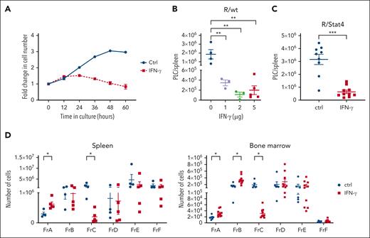 Exogenous IFN-γ replicates BCP Fr–specific depletion of PLC. (A) Change in cell number of flow-sorted PLC cocultured on stromal cells in the absence (Ctrl) or presence (IFN-γ) of 1-ng/mL IFN-γ for 60 hours. Quantification of PLC was achieved by Incucyte (Sartorius) live-cell analysis at 6-hour intervals. (B) PLC burden in the spleens of noninfected wild-type (R/wt) Eμ-ret pups after administration of different concentrations of IFN-γ (1, 2, or 5 μg/dose) every 2 days, from 9 to 16 days of age (1-way ANOVA; n = 3-5; ∗∗P < .005). (C) PLC burden in spleens of noninfected Stat4–/– (R/Stat4) Eμ-ret mice injected with 5 μg/dose IFN-γ every 2 days, from 9 to 16 days of age (Mann-Whitney test; n = 9-10; ∗∗∗P < .005). (D) Spleen (left panel) and BM (right panel) B-cell Fr burden in PBS (Ctrl) and 5 μg/dose IFN-γ–injected neonatal Eμ-ret mice (Mann-Whitney test; spleen: n = 4 Ctrl and 5 IFN-γ; and BM n = 6 Ctrl and 10 IFN-γ; ∗P < .05). All data are presented as mean ± SEM. Nonsignificant comparisons in all graphs are not labeled.