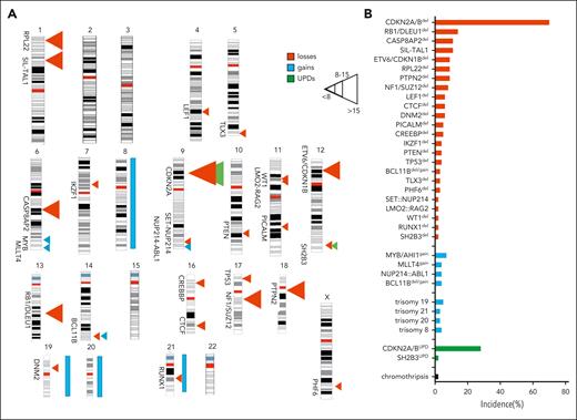 Recurrent genomic imbalances in T-ALL. (A) Karyograms of recurrent genomic imbalances detected by SNP array. Deletions are represented in red, gains in blue, and UPDs in green. (B) Bar plots indicating the incidence of each recurrent genomic imbalance.