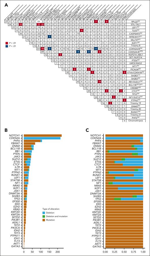 Correlations among genomic imbalances and mutational data in T-ALL. (A) Co-occurrence and coexclusion of genomic imbalances detected by SNP array in the whole cohort of T-ALL. If significant positive correlation in individual comparison of 2 genomic imbalances was found, square was colored in red (red, P < .01). If a negative correlation was found, square was colored in blue (blue, P < .01). (B) Number of cases harboring deletions or mutations of 43 genes relevant in T-ALL. (C) Relative proportion of deletions and mutations of 43 genes relevant in T-ALL.