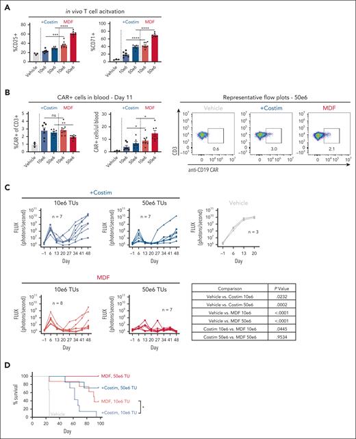 MDF VVPs exhibit enhanced in vivo functionality in a humanized NSG MHC I/II KO Nalm6 mouse model. (A) Human T-cell activation, as measured by CD25 and CD71, in humanized NSG MHC I/II KO model 4 days after VivoVec administration. (B) Percent CD19 CAR+ of human CD3+ cells and total human CD19 CAR+ cells per microliter blood (left) and representative flow plots (right) on day 11 after VivoVec administration. (C) Tumor burden over time as measured by Nalm6 bioluminescence. (D) Overall survival. For all figures, n = 7 to 8 for VivoVec groups and n = 3 for vehicle control. Two-tailed unpaired student t test for panels A-B. Two-way ANOVA with multiple comparisons for panel C. Log-rank Mantel Cox test for panel D. ∗∗∗∗P < .0001; ∗∗∗P < .0002; ∗∗P < .002; and ∗P < .03.