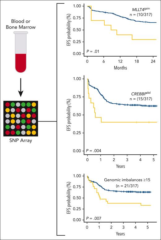 Diagnostic blood or bone marrow samples from patients with T-cell acute lymphoblastic leukemia treated in the FRALLE200T or GRAALL03-05 trials containing ≥70% lymphoblasts were assayed via SNP microarray. Gain of MLLT4, deletion of CREBBP, and ≥15 genomic imbalances were found to be independently prognostic of EFS in a multivariate analysis in the study cohort. EFS, event-free survival; SNP, single-nucleotide polymorphism.