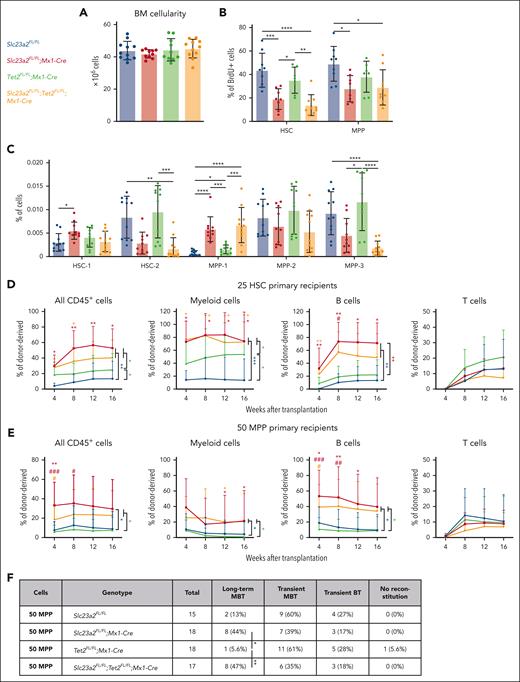 Tet2 does not seem to mediate the effects of ascorbate deficiency on the reconstituting potential of MPPs. Each panel in this figure compares cells from control mice, Slc23a2FL/FL;Mx1-Cre mice, Tet2FL/FL;Mx1-Cre mice, and Slc23a2FL/FL;Tet2FL/FL;Mx1-Cre mice. (A) Bone marrow cellularity in 1 tibia and 1 femur (a total of 10-11 mice per genotype in 6 independent experiments). (B) Incorporation of a 3-day BrdU pulse in HSCs and MPPs (a total of 7-9 mice per genotype in 6 independent experiments). (C) Frequencies of HSC-1, HSC-2, MPP-1, MPP-2, and MPP-3 cells in the bone marrow (a total of 10-11 mice per genotype in 6 independent experiments). (D) Donor cell reconstitution in the blood of irradiated mice competitively transplanted with 25 HSCs. For individual timepoints, ∗ indicates comparison with wild type controls and # indicates comparison with Tet2-deficient cells (a total of 6-9 recipient mice per genotype transplanted with cells from 2 donors per genotype in 2 independent experiments). (E) Donor cell reconstitution in the blood of irradiated mice competitively transplanted with 50 MPPs (a total of 15-18 recipient mice per genotype transplanted with cells from 5 donors per genotype in 5 independent experiments). (F) Summary of the donor cell reconstitution profiles in panel E. All data are presented as the mean ± standard deviation. Each dot represents a different mouse in panels A-C. Statistical significance was assessed using 1-way analysis of variance tests with Tukey's correction for multiple comparisons (A-B), Kruskal-Wallis tests with Dunn's correction for multiple comparisons (C), Kruskal-Wallis tests with Dunn's correction for multiple comparisons to assess differences among genotypes within each timepoint, and nparLD models with the false discovery rate method for multiple comparison corrections to test differences among genotypes in overall reconstitution (D-E). A Fisher exact test was used to test differences among genotypes in the number of long-term multilineage reconstituted mice (F). All statistical tests were 2-sided (∗P < .05; ∗∗P < .01; ∗∗∗P < .001; ∗∗∗∗P < .0001).