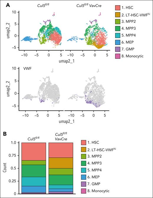 Single-cell sequencing of LSK cells from Cul5fl/flVavCre mice. (A) Upper panel shows distinct cell clusters identified from single-cell RNA sequencing of purified LSK cells from Cul5fl/flVavCre and Cul5fl/fl mice. Comparisons of differential gene expression of clusters compared to published RNA-sequence datasets from wild-type hematopoietic cells (ImmGen, GSE109125) 31 revealed similarity of clusters with HSC; MMP2; MMP3; MMP4 as indicated. Notably, cell cluster 2, which was specifically identified in the Cul5fl/flVavCre sample showed similarity to LT-HSC and prominent VWF expression (lower panel). Low frequency clusters with gene expression patterns resembling MEP, GMP, and monocytes were also identified. (B) Relative number of cells in specific clusters.