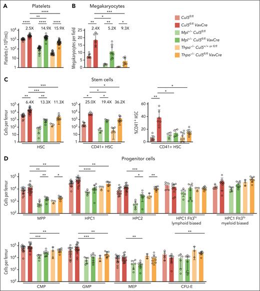 Excess megakaryopoiesis in Cul5fl/flVavCre mice is largely independent of Mpl and TPO. Numbers of (A) platelets (n = 21-28), (B) megakaryocytes per field from histological sections of sternal BM (n = 3-8) and (C) HSC (Lin–Sca1+Kit+CD150+CD48–, n = 3-17, left panel), CD41+HSC (n = 4-8, center panel) and percentage CD41+HSC in the HSC population (n = 4-8, right panel) in Cul5fl/flVavCre, Cul5fl/fl, Mpl–/–Cul5fl/flVavCre, Mpl–/–Cul5fl/fl, Thpo–/–Cul5fl/flVavCre, and Thpo–/–Cul5+/+ or fl/fl mice. Fold-differences in numbers of platelets, megakaryocytes, HSCs, and CD41+HSC between Cul5fl/flVavCre and Cul5fl/fl mice, Mpl–/–Cul5fl/flVavCre and Mpl Cul5fl/fl mice or Thpo–/–Cul5fl/flVavCre and Thpo–/–Cul5+/+ or fl/fl mice are indicated above the bar graphs. (D) Numbers of MPP (Lin–Sca1+Kit+CD150–CD48lo/–), HPC1 (Lin–Sca1+Kit+CD150–CD48+), HPC2 (Lin–Sca1+Kit+CD150+CD48+), HPC1Flt3hi and HPC1Flt3lo cells (upper panel, n = 3-17), and CMP (Lin–Sca1–Kit+CD34+FcgRII/IIIlo), GMP (Lin–Sca1–Kit+CD34+FcgRII/III+), MEP (Lin–Sca1–Kit+CD34–FcgRII/III–) and CFU-E (Lin–Sca1–Kit+CD150–EndoglinhiFcγRII/IIIlo) (lower panel, n = 3-17) in Cul5fl/flVavCre, Cul5fl/fl, Mpl–/–Cul5fl/flVavCre, Mpl–/–Cul5fl/fl, Thpo–/–Cul5fl/flVavCre, and Thpo–/–Cul5+/+ or fl/fl mice. Each point represents data from an individual mouse, bars represent mean ± SD. ∗P < .05, ∗∗P < .01, ∗∗∗P < .001, ∗∗∗∗P < .0001 for comparison of Cul5fl/flVavCre, Mpl–/–Cul5fl/flVavCre and Thpo–/–Cul5fl/flVavCre data with their respective Cul5+/+ or fl/fl controls and Cul5fl/flVavCre with Mpl–/–Cul5fl/flVavCre and Thpo–/–Cul5fl/flVavCre (1-way ANOVA with Dunnett’s correction for multiple comparisons). Data from Cul5fl/flVavCre and Cul5fl/fl are reproduced from Figure 1A-B,D and Figure 3C for comparison.