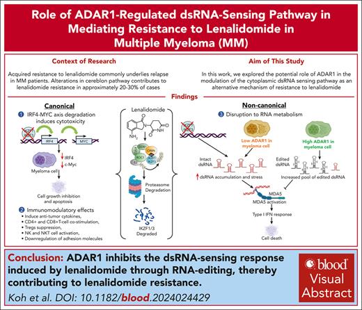 多発性骨髄腫におけるレナリドミド耐性の克服(Combating lenalidomide resistance in multiple myeloma) 多発性骨髄腫におけるレナリドミド耐性の克服(Combating lenalidomide resistance in multiple myeloma)
