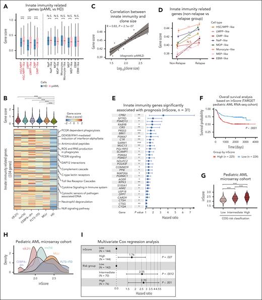Innate immune signaling in primitive cells promotes advantage of clonal competition and predicts poor prognosis at diagnosis. (A) Box plot showing gene score of innate immune gene set (n = 334) in patients with pAML vs HDs among each cell type. N.S., not significant; ∗∗∗P < .001, Wilcoxon rank-sum test. (B) Violin plot (top) and heat map (bottom) showing gene score of innate immune gene set (n = 334) in primitive cells across distinct pAML subtypes and HDs. ∗∗∗P < .001, Wilcoxon rank-sum test. (C) Scatter plot showing the Spearman correlation (with a 95% confidence interval for the regression line) between the gene score of innate immune gene set (n = 334) and the clone size in pAML2 at diagnosis. The upper left corner displays the Spearman correlation coefficient (R) and the P value. (D) Gene score of innate immune gene set (n = 334) in each cell type compared between relapse and nonrelapse groups in different pAML subtypes. ∗P < .05; ∗∗P < .01, Wilcoxon rank-sum test. (E) Forest plot showing significant prognostic value of inScore genes (n = 31) by analyzing RNA-sequencing data from TARGET pediatric AML cohort. Lines represent confidence intervals (95%). The dotted vertical line indicates hazard ratio of 1. ∗P < .05; ∗∗P < .01; ∗∗∗P < .001, Wilcoxon rank-sum test. (F) Kaplan-Meier analysis of overall survival for pediatric patients with AML in the TARGET cohort based on the inScore signature (high inScore, n = 224; low inScore, n = 225). Log-rank test. (G) inScore of patients with pAML estimated by using microarray data from the TARGET cohort according to clinical risk categories: low risk (n = 99), intermediate risk (n = 144), and high risk (n = 52). ∗∗∗P < .001, Wilcoxon rank-sum test. (H) inScore in distinct pAML molecular subtypes estimated using microarray data from the TARGET cohort. (I) Forest plot showing hazard ratios from multivariate Cox regression analysis assessing the prognostic significance of the inScore as an independent metric for overall survival in the pediatric AML TARGET cohort. The median value of the inScore was used to define high and low groups. Hazard ratios with 95% confidence intervals are presented. CDP, common dendritic cell progenitor; COG, children's oncology group; EBM, eosinophil/basophil/mast cell; FCGR, Fc gamma receptor; GMP, granulocyte/macrophage progenitor; LMPP, lymphoid-primed multipotential progenitor; MDP, monocyte-dendritic cell progenitor; MEP, megakaryocyte/erythroid progenitor; MLP, multilymphoid progenitor; NeP, neutrophil progenitor; NK, natural killer cell; NLR, NOD-like receptors; Pre-B, precursor B cell; Pro-B, progenitor B cell; RNA-seq, RNA sequencing; RNS, reactive nitrogen species; ROS, reactive oxygen species.
