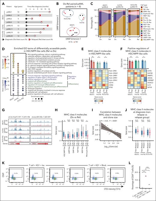 MHC class II signaling downregulation mediated immune evasion at postchemotherapy relapse. (A) Overview of paired diagnostic-relapse (Dx-Rel) patients with pAML in distinct subtypes. Pie charts indicate clinical blast count, and the time of sample collections relative to diagnosis. (B) UMAP display of 8 paired diagnostic and relapse pAML samples across distinct subtypes based on top 25 000 variable peaks. Shape and color represent relapse state. (C) Bar plot illustrating the shift of cellular composition from diagnosis to relapse in distinct subtypes. (D) Top 10 enriched GO terms of differentially accessible regions in HSC/MPP-like cells between paired diagnostic and relapse samples. Color indicates the significance of enrichment. (E) Gene score of MHC class II molecules in HSC/MPP-like cells between diagnostic and relapse samples across distinct subtypes. ∗P < .05; ∗∗P < .01, Wilcoxon rank-sum test. (F) Gene score of the positive regulators of MHC class II genes in HSC/MPP-like cells between diagnostic and relapse samples across distinct subtypes. ∗P < .05; ∗∗P < .01, Wilcoxon rank-sum test. (G) Genome browser tracks illustrating chromatin accessibility for CIITA (a positive regulator for MHC class II genes) and RREB1 (a negative regulator for MHC class II genes) in diagnostic and relapse samples across distinct pAML subtypes. Each track shows merged pseudo-bulk ATAC-seq signal. (H) Gene score of MHC class II genes across various cell types between relapse and diagnosis samples. ∗P < .05, Wilcoxon rank-sum test. (I) Scatter plot showing the Spearman correlation (with a 95% confidence interval for the regression line) between the gene score of MHC class II genes and the clone size in pAML2 at relapse. The upper left corner displays the Spearman correlation coefficient (R) and the P value. (J) Gene score of MHC class II genes compared between relapse and nonrelapse groups in different pAML subtypes. Wilcoxon rank-sum test. (K) Flow cytometry was used to assess T-cell activation by measuring the percentage of CD4+ T cells positive for activation marker CD69. CD4+ T cells were cocultured with KG-1 cells for 72 hours, which had been preincubated with either anti–HLA-DR, -DP, -DQ blocking antibodies (KG1 + T cell + block) or an isotype control antibody (KG1 + T cell + Iso). Data are gated on live CD4+ T cells. Three independent experiments are performed. (L) Box plot showing percentage of CD69+ T cells in CD4+ T-cell population across different experimental conditions. CD4+ T cells were either cultured in medium alone (T cell + Medium) or coculturing with KG-1 cells (KG1 + T cell + Iso, KG1 + T cell + Block) for 72 hours. ∗∗P < .01; ∗∗∗P < .001, Wilcoxon rank-sum test. CDP, common dendritic cell progenitor; CFSE, carboxyfluorescein succinimidyl ester; Dx, diagnostic; EBM, eosinophil/basophil/mast cell; GMP, granulocyte/macrophage progenitor; LMPP, lymphoid-primed multipotential progenitor; MDP, monocyte-dendritic cell progenitor; MEP, megakaryocyte/erythroid progenitor; MLP, multilymphoid progenitor; NeP, neutrophil progenitor; NK, natural killer cell; Pre-B, precursor B cell; Pro-B, progenitor B cell; Rel, relapse.