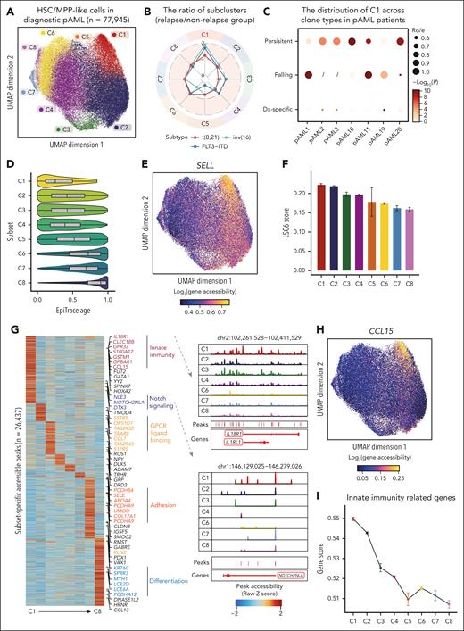 Identification of relapse-fated subpopulation with elevated innate immune signaling. (A) UMAP plot illustrating the clustering of HSC/MPP-like cells (n = 77 945) from all patients with pAML at diagnosis. (B) Radar plot depicting the ratio of relative proportions of HSC/MPP-like subsets (C1 to C8) between relapse and nonrelapse groups across various pAML subtypes. (C) Bubble plot showing the ratio of observed to expected (Ro/e) values of C1 cluster in each clone type among patients with pAML (n = 7). Dot size represents the value of Ro/e, and the dot color represents logarithmic transformed adjusted P values (Benjamini-Hochberg correction). The symbol “/” indicates data not available. (D) EpiTrace age of HSC/MPP-like subsets from C1 to C8. (E) UMAP showing chromatin accessibility for SELL gene in HSC/MPP-like subsets. (F) LSC6 gene score in HSC/MPP-like subsets from C1 to C8. (G) Subset-specific accessible peaks (n = 26 437) from C1 to C8 with representative associated genes displayed (left). Zoom-in genome tracks display the chromatin accessibility of IL18R1 and the Notch signal gene NOTCH2NLA in HSC/MPP-like subsets (right). (H) UMAP showing chromatin accessibility for innate immunity–related gene CCL15 in HSC/MPP-like subsets. (I) Gene score of innate immune gene set (n = 334) within HSC/MPP-like subsets. GPCR, G-protein coupled receptor; LSC6, 6-gene leukemia stem cell signature.