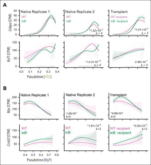 Differential gene expression along lineages supports mathematical model predictions. (A) Expression of Cebpa and Ikzf1 along the HSC lineage, transcription factors important for myeloid and lymphoid development, respectively. (B) Expression of Myc and cell-cycle gene, Ccnb2, along the MyP lineage, associated with cell proliferation. Lines in A and B are NB-GAM fits, shaded regions are 95% confidence intervals, and transparent points are individual cell data. Italicized numbers are P values and degrees of freedom used for NB-GAM fits specified by k.
