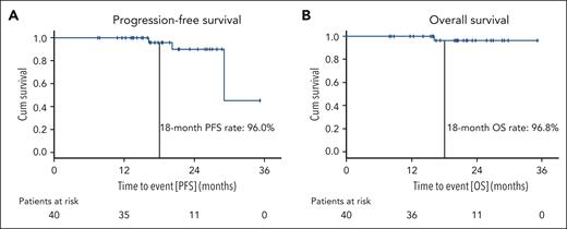 Progression-free and overall survival. PFS (A) and OS (B) are shown for the full analysis set; patients at risk at the respective time points are listed below the graphs.