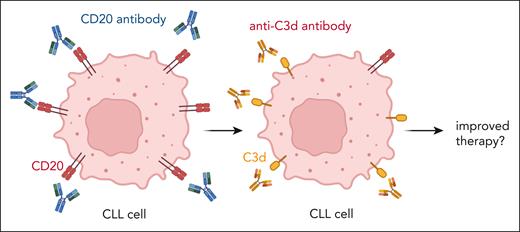 Trogocytosis and complement activation by CD20 antibodies lead to loss of CD20 expression and gain of C3d deposition, which can serve as target for novel C3d antibodies. Figure created with BioRender.com.
