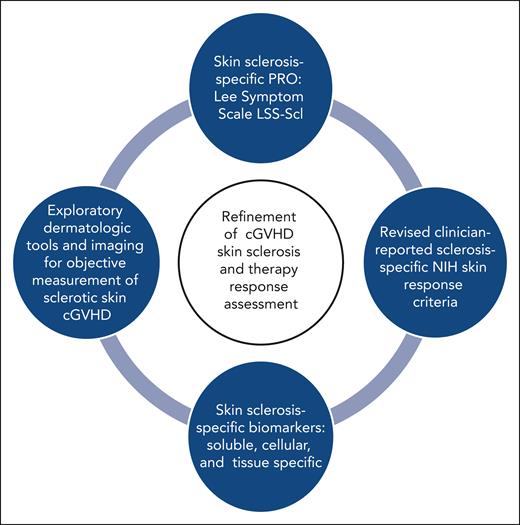 Key components for advancing the refinement of cGVHD skin sclerosis assessment and therapy response evaluation.