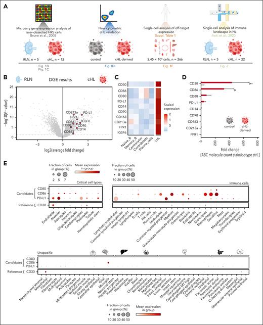 Identification of CD80, CD86, and PD-L1 as potential therapeutic targets in cHL. (A) Schematic overview of components of the used multimodal target screening approach in cHL. (B) Volcano plot illustrating the log2 average fold change and P values of surface antigens absent on T cells and differentially overexpressed on HRSCs compared with GCB. Microarray data (GSE12453) were obtained from the gene expression omnibus17 (cHL, n = 12; RLN, n = 5). Labeled genes in red passed all filters (surface expression, absent on T cells), whereas non-highlighted gray dots indicate overexpressed genes that did not pass the filter thresholds. (C) Heat map visualizing the expression of the identified target antigens on microdissected control cells (left) or HRSCs (right). (D) Comparison of absolute densities of indicated antigens measured using flow cytometry on a panel of cHL cell lines (L-428, L-540, KM-H2) with that of the control cell line Nalm-6. Plotted is the pooled fold change ± standard error of the mean (SEM) of absolute molecule count in comparison to an isotype control stain of 3 different cHL cell lines. Statistical significance was calculated using 2-way analysis of variance (ANOVA) with Sidak multiple comparison correction. ∗P < .05; ∗∗P < .01; ∗∗∗P < .001; ∗∗∗∗P < .0001. ns, P > .05. (E) Single-cell cross-organ off-target transcriptomic atlas screening for CD80, CD86, PD-L1, and CD30. The transcriptomic atlas consists of a total of 2.5 million sequenced cells comprising 11 different organs. A detailed summary of all used data sets is provided in the supplementary Material.
