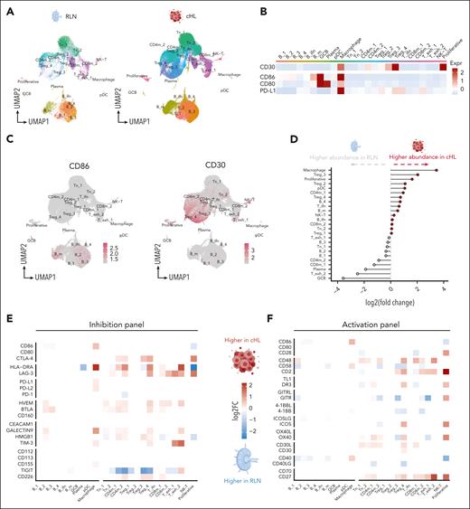 scRNA-seq reveals dysregulated immunomodulatory pathways in cHL. (A) Uniform manifold approximation and projection (UMAP) visualization of the obtained cell clusters in RLN (left) or cHL (right). The data set was generated by Aoki et al and downloaded from the European genome-phenome archive (cHL, n = 22; RLN, n = 5; 127 686 sequenced cells). (B) Heat map visualization of the scaled averaged gene expression of CD30 vs CD86, CD80, and PD-L1 measured by scRNA-seq. (C) UMAP plots visualizing the expression of CD86 (left) or CD30 (right) on the respective cell clusters. (D) Fold changes based on the differential abundance of the respective cell cluster between RLN (left) and cHL (right). (E-F) Heat map illustrating significantly upregulated genes of hallmark immune inhibitory pathways (E) and activating pathways (F) in cHL (red) or RLN (blue) as the result of DGE analysis within each cell subset. Markers were adapted from Chen and Flies50 with permission.