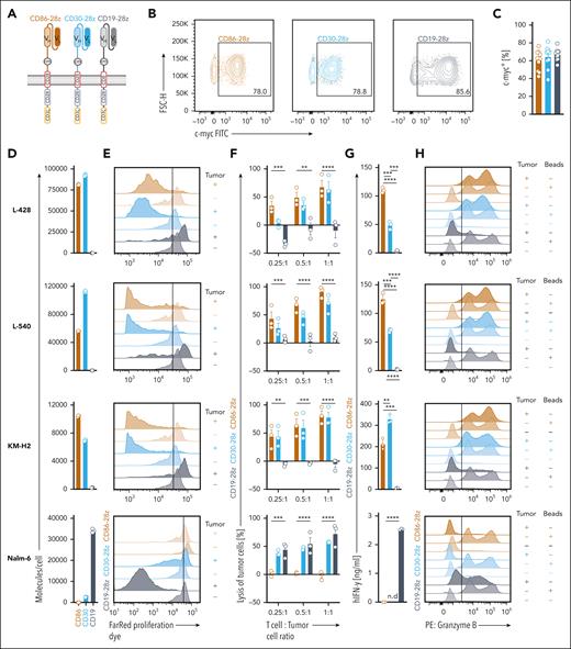 CD86-28z CAR T cells exhibit high potency toward cHL cell lines in vitro. (A) Summary of the composition of anti-CD86 (CD86-28z), anti-CD30 (CD30-28z), and anti-CD19 CAR (CD19-28z) constructs. (B-C) Representative flow cytometric images (B) and quantification (C; individual results and mean ± SEM of 10 different donors) of transduction efficiencies. Transduction efficiency was determined by staining for the extracellular c-Myc tag. (D) Absolute quantification of the molecule count per cell measured with quantitative flow cytometry. Molecule counts/cell of the indicated cell lines were calculated for CD86, CD30, and CD19, respectively. Molecule counts/cell of the isotype control were subtracted from total molecule counts. Depicted are 3 biological replicates. Data are representative of 2 independent experiments. (E-H) CD86-28z (mocha), CD30-28z (light blue), or CD19-28z (gray) CAR T cells were cocultured with the indicated cell lines (from top to bottom: L-428, L-540, KM-H2, Nalm-6, all transduced with fLuc-GFP). (E) Before cocultures, CAR T cells were stained with a Far Red proliferation dye, and antigen-specific proliferation was determined by trace dilution. Cocultures were analyzed by flow cytometry after 7 days. Top row of each color: CAR cocultured with tumor cells. Bottom row of each color: CAR only. Illustrated are representative histograms of in total 3 different donors. (F) Bioluminescence measurement of CAR-mediated lysis of tumor cells. Cell numbers were plated according to the indicated T-cell:tumor cell ratio. Tumor cell killing was determined after 72 hours. Specific lysis was calculated by normalizing to tumor cell-only controls. (G) IFN-γ release into coculture supernatant measured by ELISA. (F-G) Data are mean ± SEM from 3 independent donors. Statistical significance was calculated using 2-way ANOVA with Sidak multiple comparison correction. (H) Representative histograms depicting granzyme B-positive cells after 48 hours of coculture. Granzyme B was measured by intracellular staining after 12 hours of incubation with GolgiStop and GolgiPlug. Illustrated are representative histograms of in total 3 different donors. For all panels: ∗P < .05; ∗∗P < .01; ∗∗∗P < .001; ∗∗∗∗P < .0001. ns, P > .05.